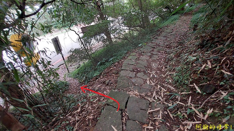 [2024 台北大縱走第二段] 小油坑 → 二子坪(逆走) ｜竹仔湖、二子坪 風景秀麗，無緣大屯山連峰風景