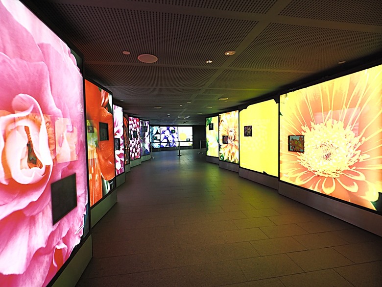 濱海灣花園 雲霧林(Cloud Forest)、花穹(Flower Dome) 及《莫內印象(Impressions of Monet)》特展、擎天樹叢(Supertree Grove)的《花園狂想曲(Garden Rhapsody)》聲光秀、遊園導覽車(Audio Tour)、Jurassic Nest FoodHall中的Hawker Chan燒肉飯,及金沙酒店《幻彩生輝(Spectra- A Light and Water)》燈光秀 — 赤道三國文化休閒行旅 之 新加坡篇 第五回 濱海灣花園