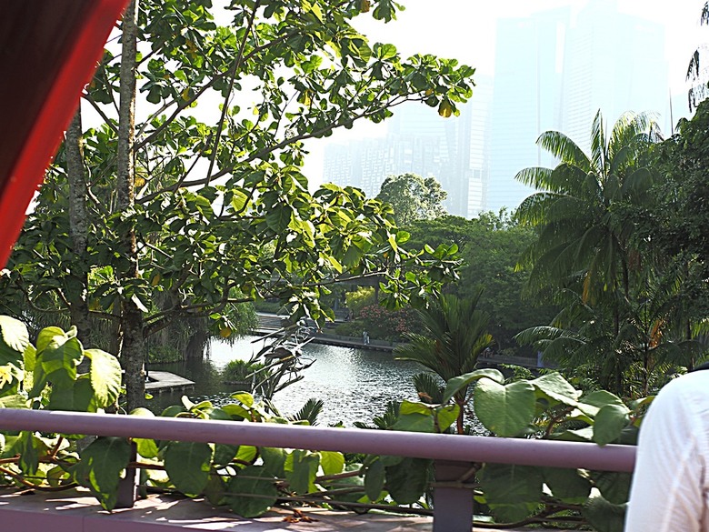 濱海灣花園 雲霧林(Cloud Forest)、花穹(Flower Dome) 及《莫內印象(Impressions of Monet)》特展、擎天樹叢(Supertree Grove)的《花園狂想曲(Garden Rhapsody)》聲光秀、遊園導覽車(Audio Tour)、Jurassic Nest FoodHall中的Hawker Chan燒肉飯,及金沙酒店《幻彩生輝(Spectra- A Light and Water)》燈光秀 — 赤道三國文化休閒行旅 之 新加坡篇 第五回 濱海灣花園