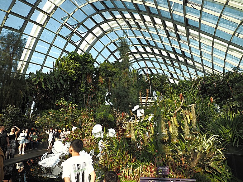 濱海灣花園 雲霧林(Cloud Forest)、花穹(Flower Dome) 及《莫內印象(Impressions of Monet)》特展、擎天樹叢(Supertree Grove)的《花園狂想曲(Garden Rhapsody)》聲光秀、遊園導覽車(Audio Tour)、Jurassic Nest FoodHall中的Hawker Chan燒肉飯,及金沙酒店《幻彩生輝(Spectra- A Light and Water)》燈光秀 — 赤道三國文化休閒行旅 之 新加坡篇 第五回 濱海灣花園