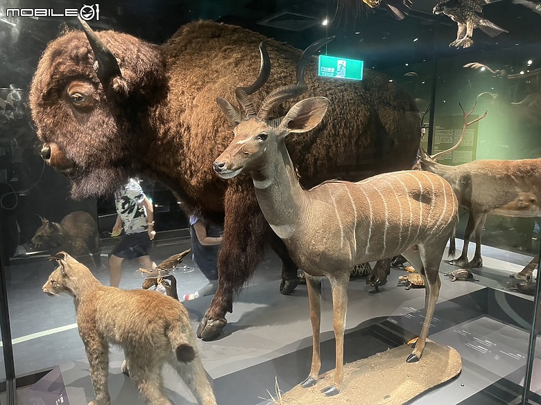 科教館之旅：探索、學習與心靈的觸動