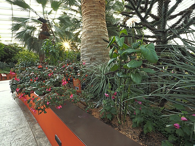 濱海灣花園 雲霧林(Cloud Forest)、花穹(Flower Dome) 及《莫內印象(Impressions of Monet)》特展、擎天樹叢(Supertree Grove)的《花園狂想曲(Garden Rhapsody)》聲光秀、遊園導覽車(Audio Tour)、Jurassic Nest FoodHall中的Hawker Chan燒肉飯,及金沙酒店《幻彩生輝(Spectra- A Light and Water)》燈光秀 — 赤道三國文化休閒行旅 之 新加坡篇 第五回 濱海灣花園