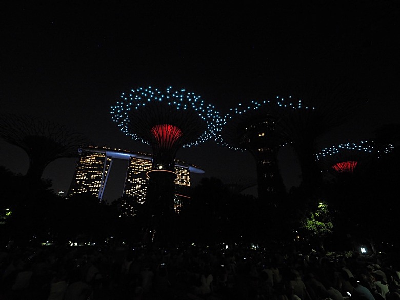 濱海灣花園 雲霧林(Cloud Forest)、花穹(Flower Dome) 及《莫內印象(Impressions of Monet)》特展、擎天樹叢(Supertree Grove)的《花園狂想曲(Garden Rhapsody)》聲光秀、遊園導覽車(Audio Tour)、Jurassic Nest FoodHall中的Hawker Chan燒肉飯，及金沙酒店《幻彩生輝(Spectra- A Light and Water)》燈光秀 — 赤道三國文化休閒行旅 之 新加坡篇 第五回 濱海灣花園