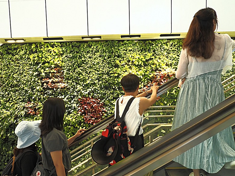 濱海灣花園 雲霧林(Cloud Forest)、花穹(Flower Dome) 及《莫內印象(Impressions of Monet)》特展、擎天樹叢(Supertree Grove)的《花園狂想曲(Garden Rhapsody)》聲光秀、遊園導覽車(Audio Tour)、Jurassic Nest FoodHall中的Hawker Chan燒肉飯,及金沙酒店《幻彩生輝(Spectra- A Light and Water)》燈光秀 — 赤道三國文化休閒行旅 之 新加坡篇 第五回 濱海灣花園