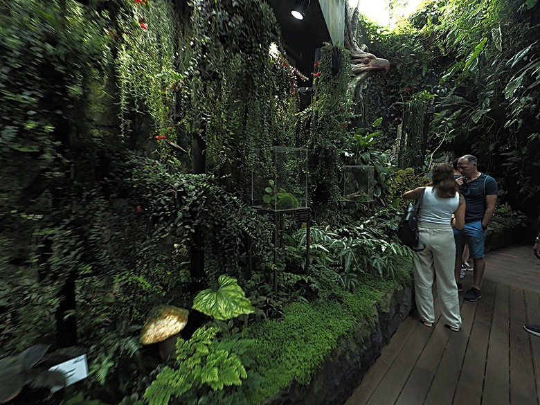 濱海灣花園 雲霧林(Cloud Forest)、花穹(Flower Dome) 及《莫內印象(Impressions of Monet)》特展、擎天樹叢(Supertree Grove)的《花園狂想曲(Garden Rhapsody)》聲光秀、遊園導覽車(Audio Tour)、Jurassic Nest FoodHall中的Hawker Chan燒肉飯,及金沙酒店《幻彩生輝(Spectra- A Light and Water)》燈光秀 — 赤道三國文化休閒行旅 之 新加坡篇 第五回 濱海灣花園