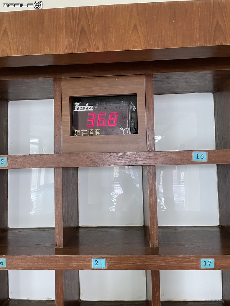 在南方莊園一場難忘的親子假期：南方套房對決家庭客房
