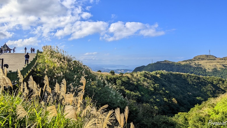 不厭五分茶壺｜2023年秋芒印象｜取道東勢坑路線