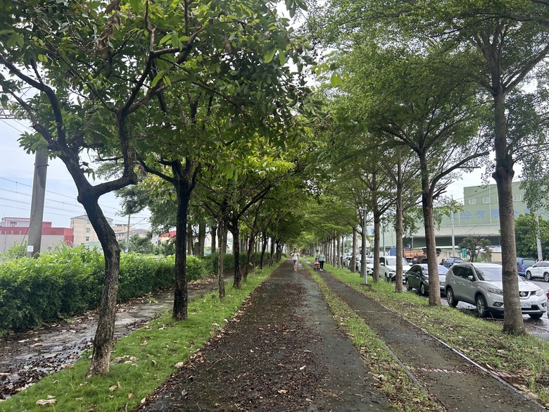 騎遊北回自行車道(空軍嘉義基地)