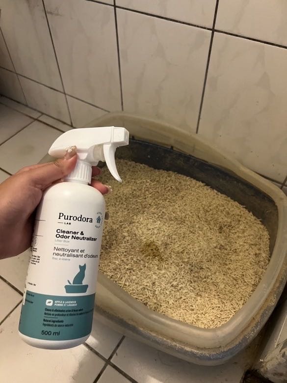 #分享 貓咪便盆臭味終結者！😹 開箱貓咪除臭劑，純朵拉寵物除臭救星～