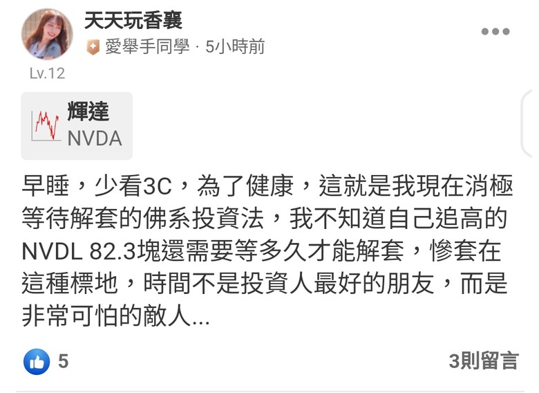這是關於貸款200萬買輝達兩倍槓桿NVDL的故事