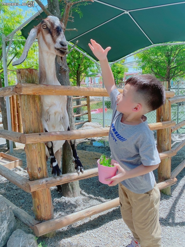 宜蘭在地動物友善親子樂園-星夢森林劇場