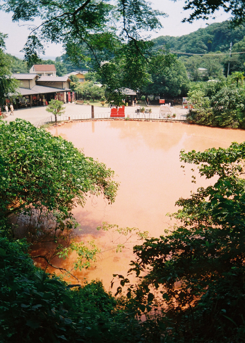 KODAK EKTAR H35N相片分享
