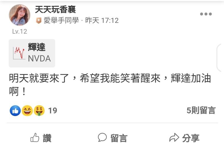 這是關於貸款200萬買輝達兩倍槓桿NVDL的故事