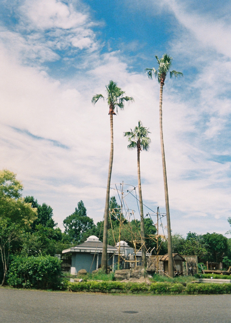 KODAK EKTAR H35N相片分享