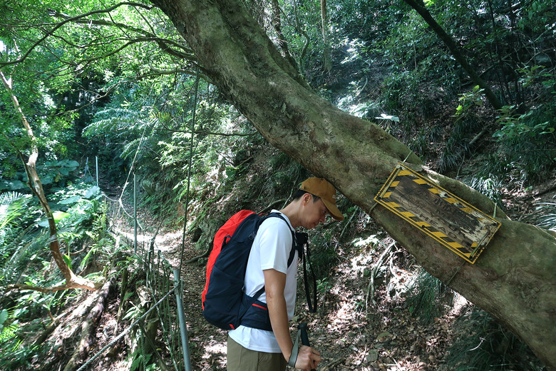 點我看大圖 【帽子山】夏天沒事千萬不要去爬屏東郊山 | 熱到快中暑 | 雙流國家森林遊樂區最高峰