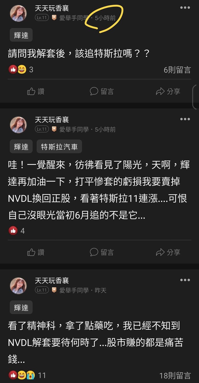 這是關於貸款200萬買輝達兩倍槓桿NVDL的故事