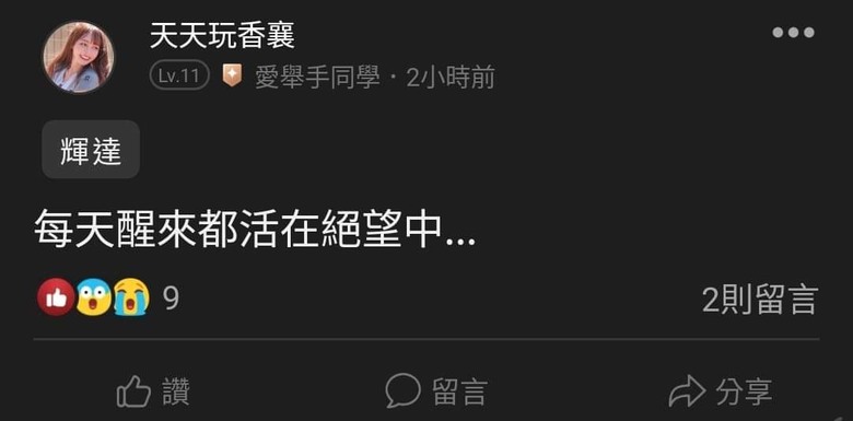 這是關於貸款200萬買輝達兩倍槓桿NVDL的故事
