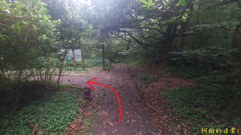 [2024 台北大縱走第二段] 小油坑 → 二子坪(逆走) ｜竹仔湖、二子坪 風景秀麗，無緣大屯山連峰風景