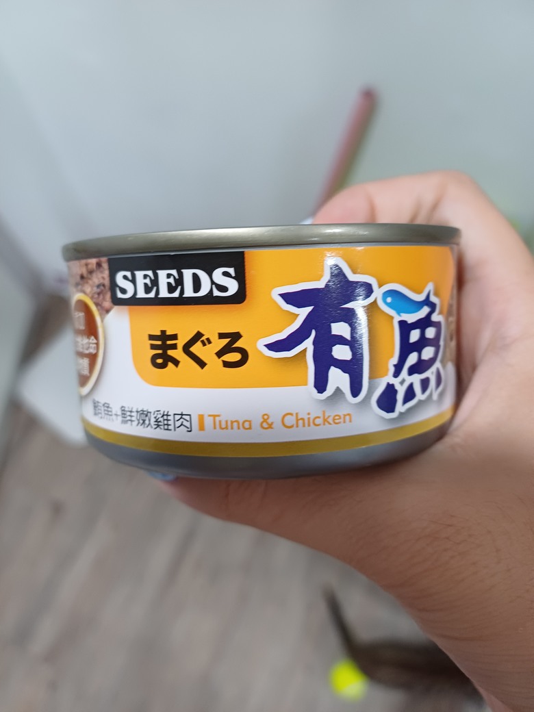 貓咪食品推薦詢問