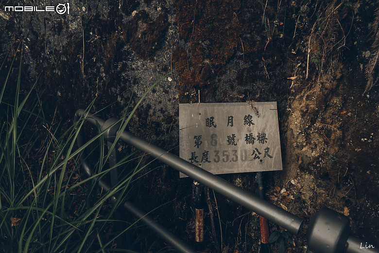 出遊分享 Canon EOS R8 ( 阿里山遊記)