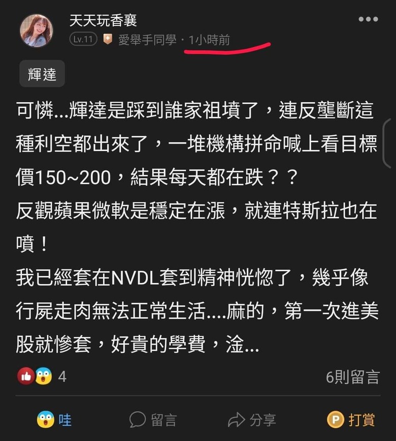這是關於貸款200萬買輝達兩倍槓桿NVDL的故事