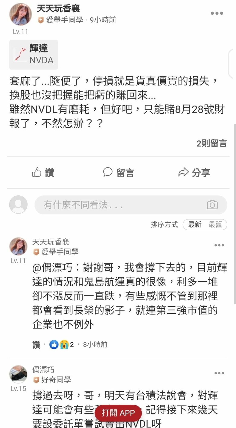 這是關於貸款200萬買輝達兩倍槓桿NVDL的故事