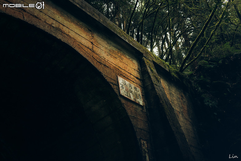 出遊分享 Canon EOS R8 ( 阿里山遊記)
