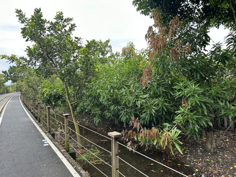 騎遊北回自行車道(空軍嘉義基地)