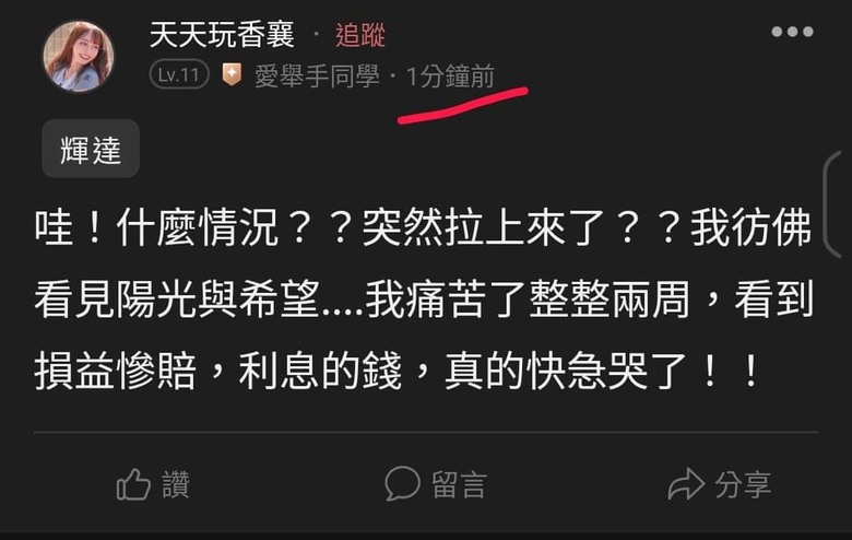 這是關於貸款200萬買輝達兩倍槓桿NVDL的故事