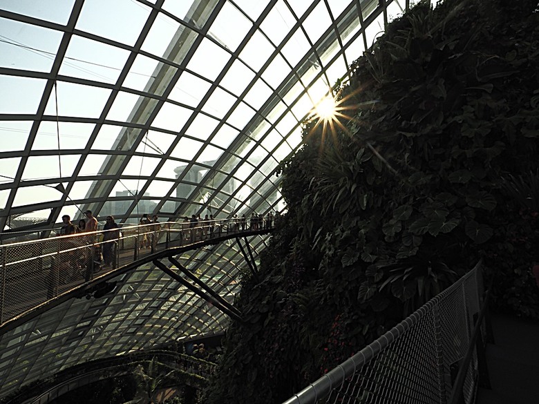 濱海灣花園 雲霧林(Cloud Forest)、花穹(Flower Dome) 及《莫內印象(Impressions of Monet)》特展、擎天樹叢(Supertree Grove)的《花園狂想曲(Garden Rhapsody)》聲光秀、遊園導覽車(Audio Tour)、Jurassic Nest FoodHall中的Hawker Chan燒肉飯,及金沙酒店《幻彩生輝(Spectra- A Light and Water)》燈光秀 — 赤道三國文化休閒行旅 之 新加坡篇 第五回 濱海灣花園