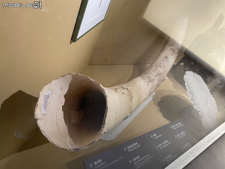 科教館之旅：探索、學習與心靈的觸動