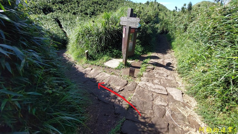 [2024 台北大縱走第三段] 小油坑 → 風櫃口 北市第一高峰360度視野 美景盡收眼底