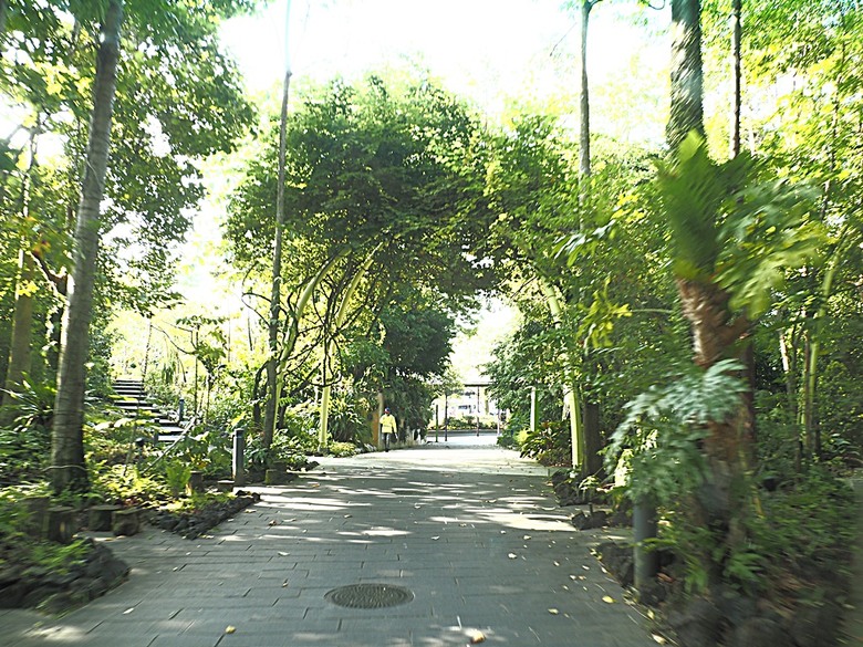 濱海灣花園 雲霧林(Cloud Forest)、花穹(Flower Dome) 及《莫內印象(Impressions of Monet)》特展、擎天樹叢(Supertree Grove)的《花園狂想曲(Garden Rhapsody)》聲光秀、遊園導覽車(Audio Tour)、Jurassic Nest FoodHall中的Hawker Chan燒肉飯,及金沙酒店《幻彩生輝(Spectra- A Light and Water)》燈光秀 — 赤道三國文化休閒行旅 之 新加坡篇 第五回 濱海灣花園