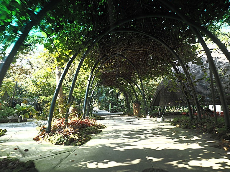 濱海灣花園 雲霧林(Cloud Forest)、花穹(Flower Dome) 及《莫內印象(Impressions of Monet)》特展、擎天樹叢(Supertree Grove)的《花園狂想曲(Garden Rhapsody)》聲光秀、遊園導覽車(Audio Tour)、Jurassic Nest FoodHall中的Hawker Chan燒肉飯,及金沙酒店《幻彩生輝(Spectra- A Light and Water)》燈光秀 — 赤道三國文化休閒行旅 之 新加坡篇 第五回 濱海灣花園