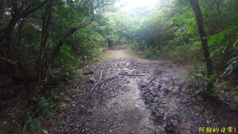 [2024 台北大縱走第四段] 風櫃口 → 大湖公園捷運站｜梅花山、圓覺瀑布、大溝溪畔