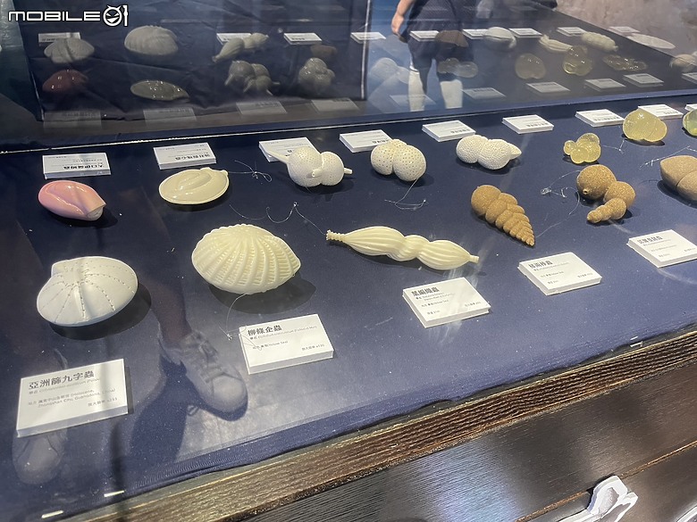 科教館之旅：探索、學習與心靈的觸動