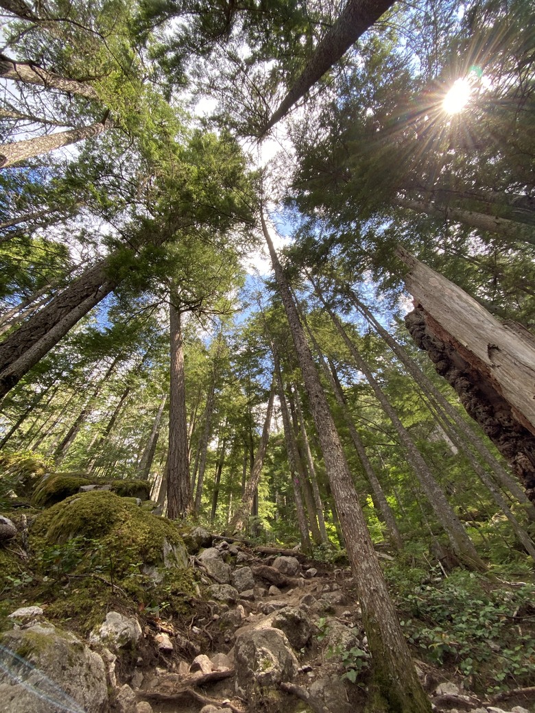 「瑜伽越野跑」加拿大🇨🇦 溫哥華 Vancouver, BC 北邊的兩條路線：Sea to Summit 及 Garibaldi Lake trail