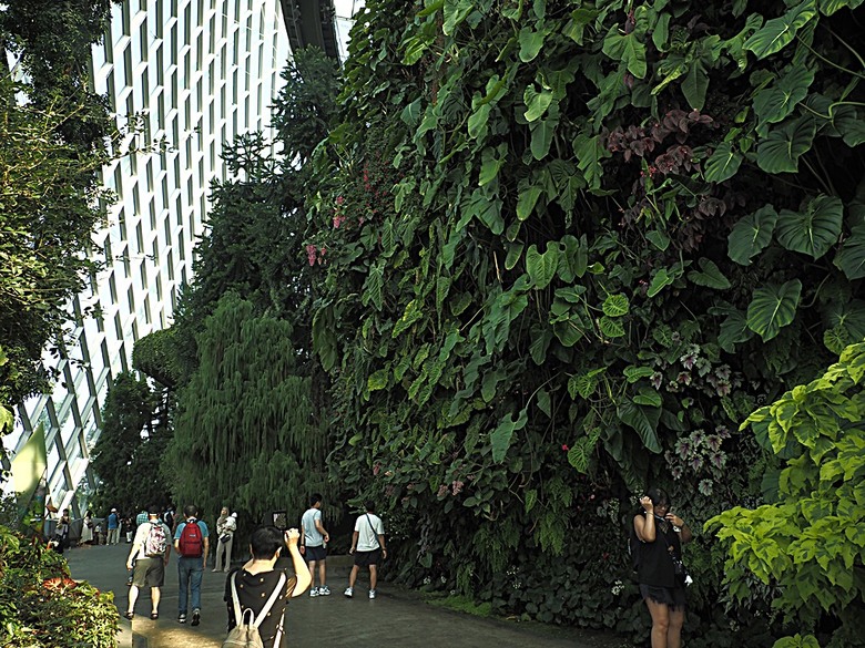 濱海灣花園 雲霧林(Cloud Forest)、花穹(Flower Dome) 及《莫內印象(Impressions of Monet)》特展、擎天樹叢(Supertree Grove)的《花園狂想曲(Garden Rhapsody)》聲光秀、遊園導覽車(Audio Tour)、Jurassic Nest FoodHall中的Hawker Chan燒肉飯,及金沙酒店《幻彩生輝(Spectra- A Light and Water)》燈光秀 — 赤道三國文化休閒行旅 之 新加坡篇 第五回 濱海灣花園