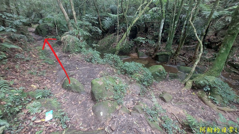 [2024 台北大縱走第四段] 風櫃口 → 大湖公園捷運站｜梅花山、圓覺瀑布、大溝溪畔