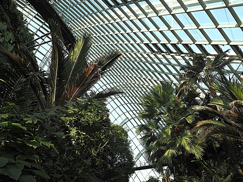 濱海灣花園 雲霧林(Cloud Forest)、花穹(Flower Dome) 及《莫內印象(Impressions of Monet)》特展、擎天樹叢(Supertree Grove)的《花園狂想曲(Garden Rhapsody)》聲光秀、遊園導覽車(Audio Tour)、Jurassic Nest FoodHall中的Hawker Chan燒肉飯,及金沙酒店《幻彩生輝(Spectra- A Light and Water)》燈光秀 — 赤道三國文化休閒行旅 之 新加坡篇 第五回 濱海灣花園