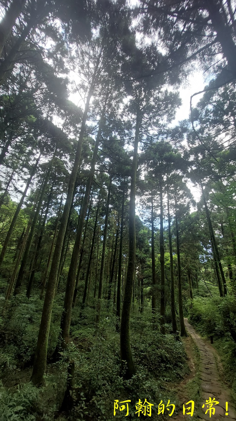 [2024 台北大縱走第三段] 小油坑 → 風櫃口 北市第一高峰360度視野 美景盡收眼底