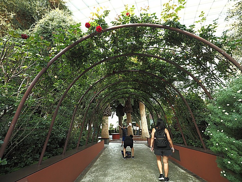 濱海灣花園 雲霧林(Cloud Forest)、花穹(Flower Dome) 及《莫內印象(Impressions of Monet)》特展、擎天樹叢(Supertree Grove)的《花園狂想曲(Garden Rhapsody)》聲光秀、遊園導覽車(Audio Tour)、Jurassic Nest FoodHall中的Hawker Chan燒肉飯,及金沙酒店《幻彩生輝(Spectra- A Light and Water)》燈光秀 — 赤道三國文化休閒行旅 之 新加坡篇 第五回 濱海灣花園