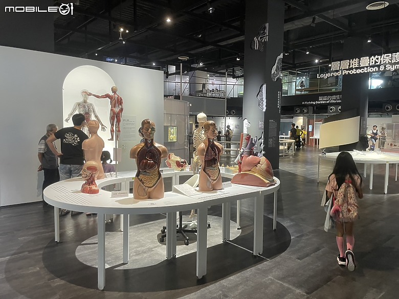 科教館之旅：探索、學習與心靈的觸動