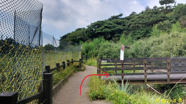 [2024 台北大縱走第二段] 小油坑 → 二子坪(逆走) ｜竹仔湖、二子坪 風景秀麗，無緣大屯山連峰風景