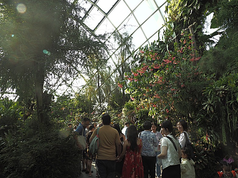 濱海灣花園 雲霧林(Cloud Forest)、花穹(Flower Dome) 及《莫內印象(Impressions of Monet)》特展、擎天樹叢(Supertree Grove)的《花園狂想曲(Garden Rhapsody)》聲光秀、遊園導覽車(Audio Tour)、Jurassic Nest FoodHall中的Hawker Chan燒肉飯,及金沙酒店《幻彩生輝(Spectra- A Light and Water)》燈光秀 — 赤道三國文化休閒行旅 之 新加坡篇 第五回 濱海灣花園