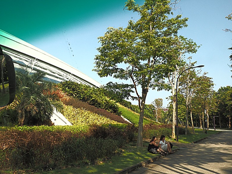濱海灣花園 雲霧林(Cloud Forest)、花穹(Flower Dome) 及《莫內印象(Impressions of Monet)》特展、擎天樹叢(Supertree Grove)的《花園狂想曲(Garden Rhapsody)》聲光秀、遊園導覽車(Audio Tour)、Jurassic Nest FoodHall中的Hawker Chan燒肉飯,及金沙酒店《幻彩生輝(Spectra- A Light and Water)》燈光秀 — 赤道三國文化休閒行旅 之 新加坡篇 第五回 濱海灣花園