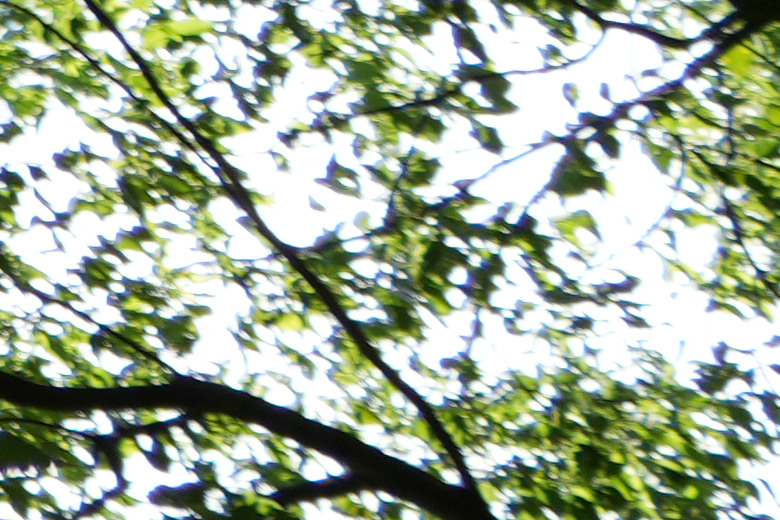 Tamron 28-300mm f/4-7.1 Di III VC VXD（A074）評測報告｜制霸無反、10.7x 旅遊鏡捲土重來！