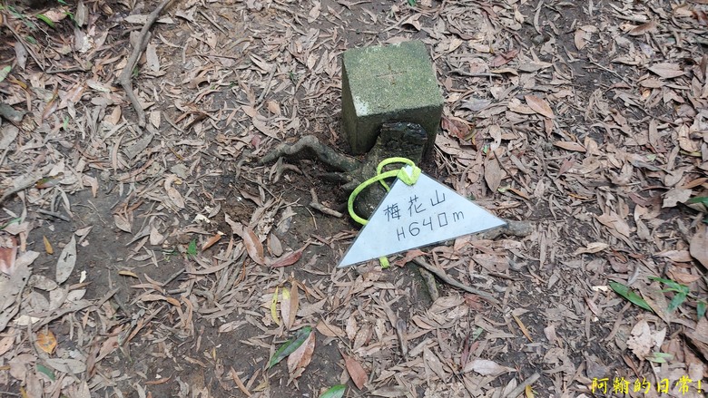 [2024 台北大縱走第四段] 風櫃口 → 大湖公園捷運站｜梅花山、圓覺瀑布、大溝溪畔