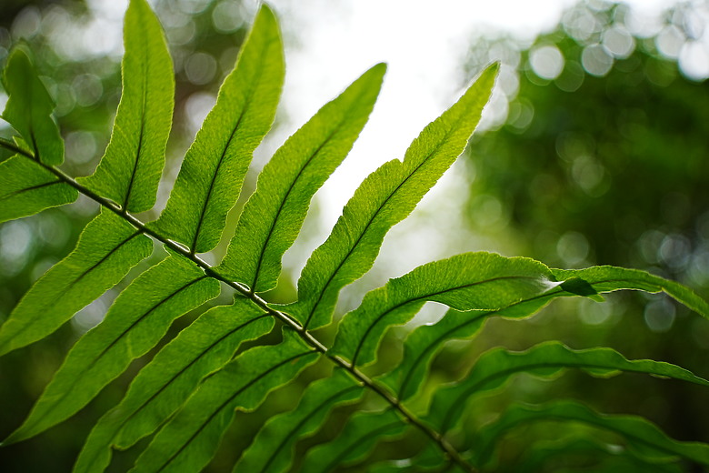 點我看大圖 Tamron 28-300mm f/4-7.1 Di III VC VXD(A074)評測報告|制霸無反、10.7x 旅遊鏡捲土重來!