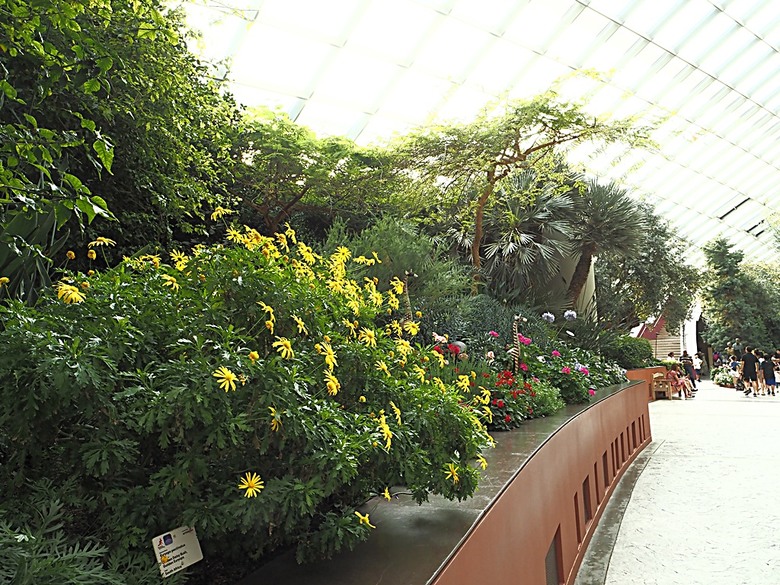 濱海灣花園 雲霧林(Cloud Forest)、花穹(Flower Dome) 及《莫內印象(Impressions of Monet)》特展、擎天樹叢(Supertree Grove)的《花園狂想曲(Garden Rhapsody)》聲光秀、遊園導覽車(Audio Tour)、Jurassic Nest FoodHall中的Hawker Chan燒肉飯,及金沙酒店《幻彩生輝(Spectra- A Light and Water)》燈光秀 — 赤道三國文化休閒行旅 之 新加坡篇 第五回 濱海灣花園